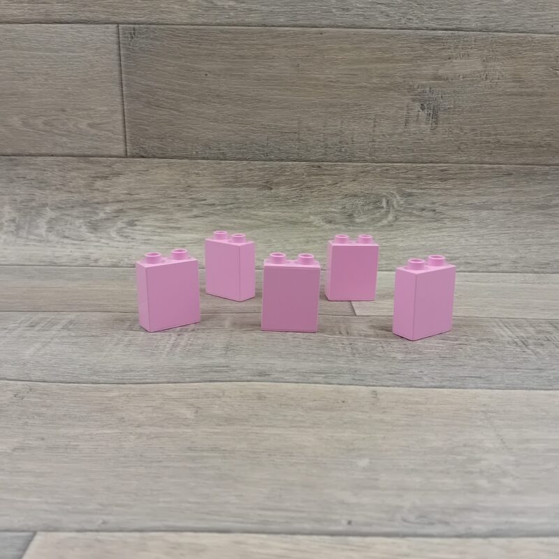 Duplo 2 nops blok hoog roze