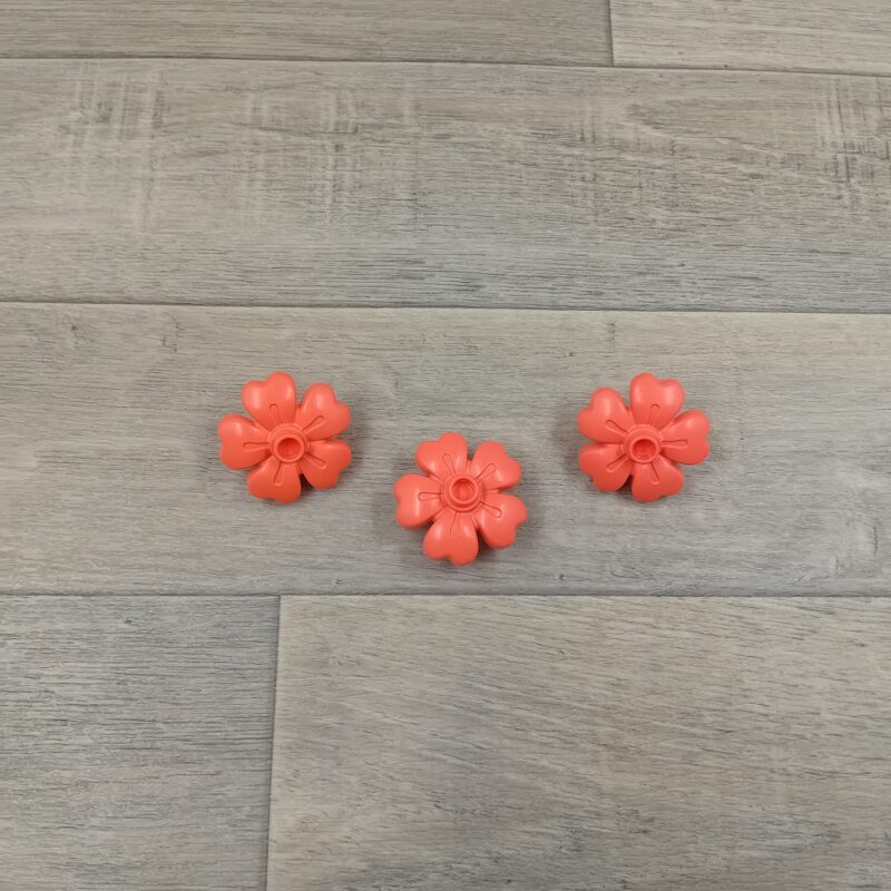 Duplo koraalrode bloem