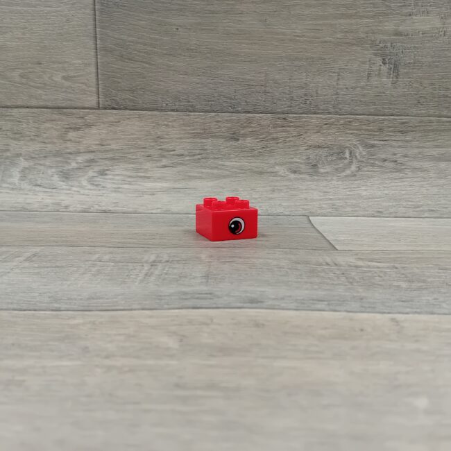 Duplo blok met afbeelding rood oogblok