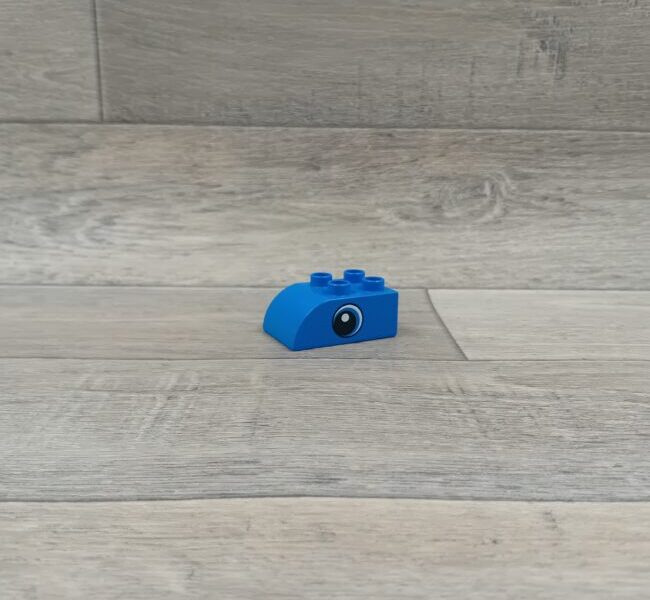 Duplo blok met afbeelding blauw oogblok
