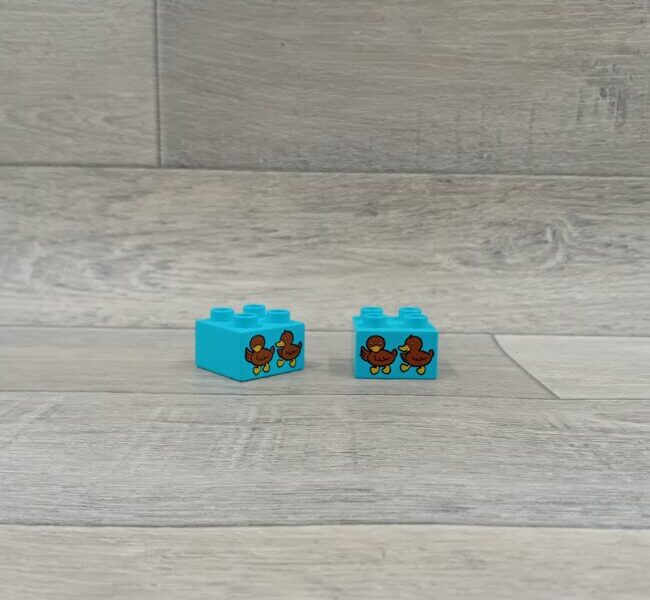 Duplo blok met afbeelding medium azuurblauw 2 eendjes