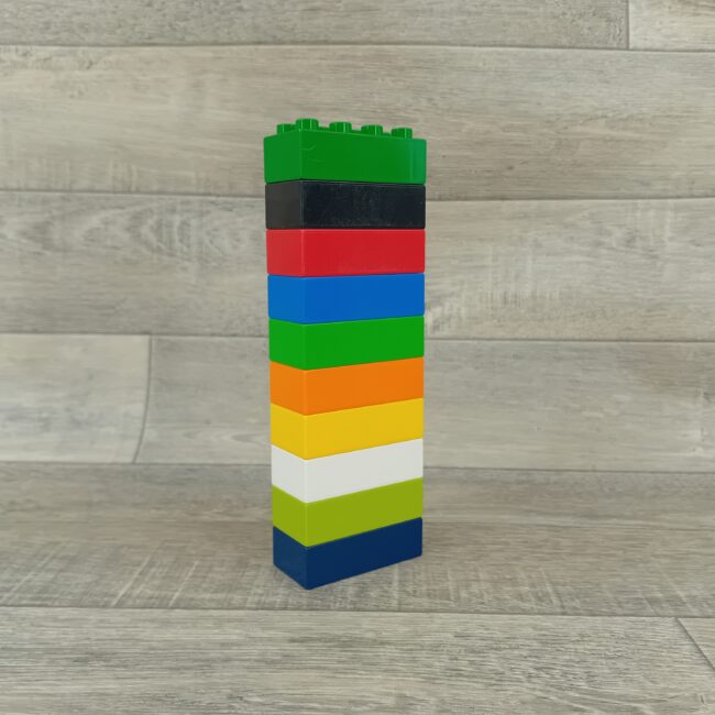 Duplo set 10x 8 nops blokken diverse kleuren
